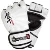 Hayabusa Ikusa 4oz MMA Handschoenen Wit